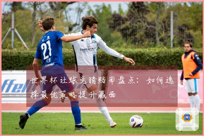 世界杯让球竞猜赔率盘点：如何选择最优策略提升赢面