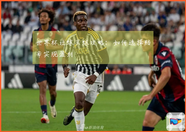 世界杯让球买球攻略：如何选择赔率实现盈利
