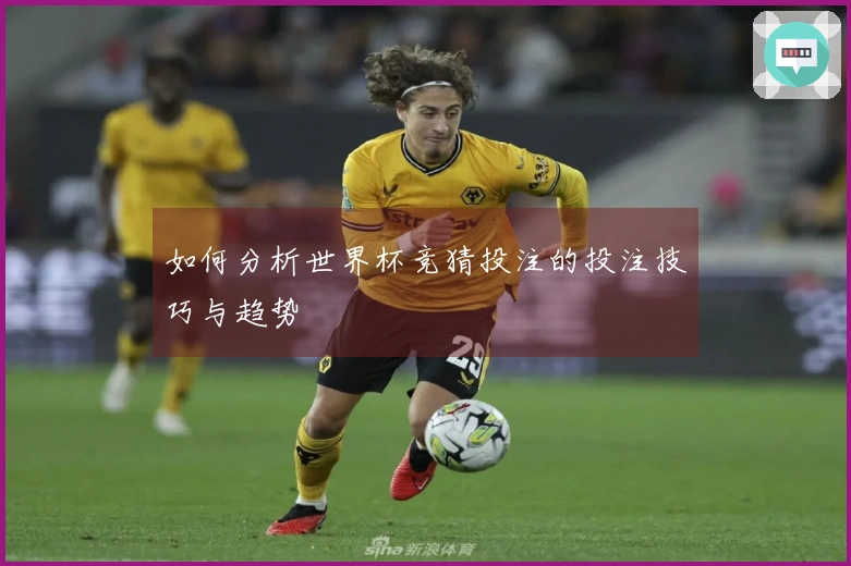 如何分析世界杯竞猜投注的投注技巧与趋势