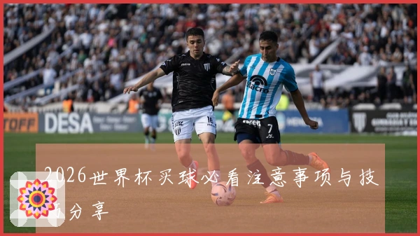 2026世界杯买球必看注意事项与技巧分享