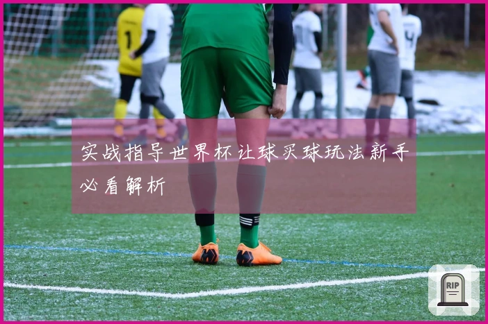 实战指导世界杯让球买球玩法新手必看解析