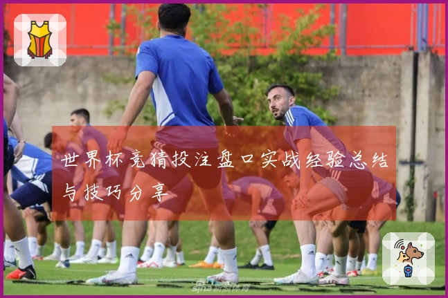 世界杯竞猜投注盘口实战经验总结与技巧分享