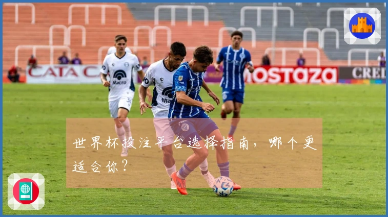 世界杯投注平台选择指南，哪个更适合你？