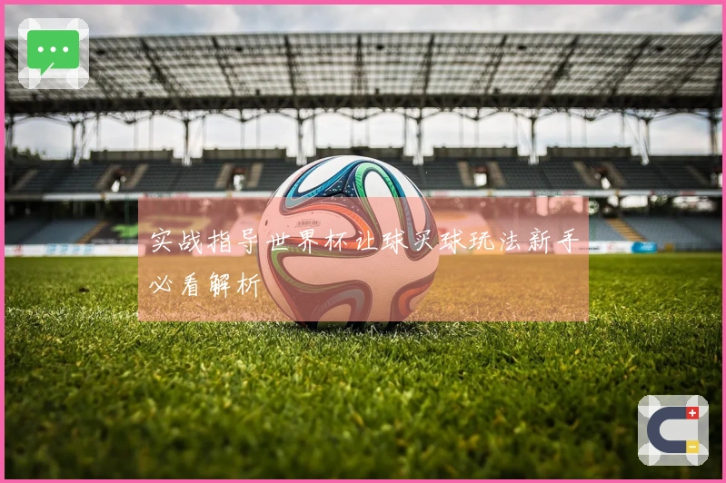 实战指导世界杯让球买球玩法新手必看解析