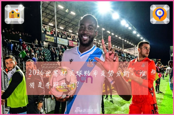 2026世界杯买球赔率走势分析，谁将是夺冠热门？