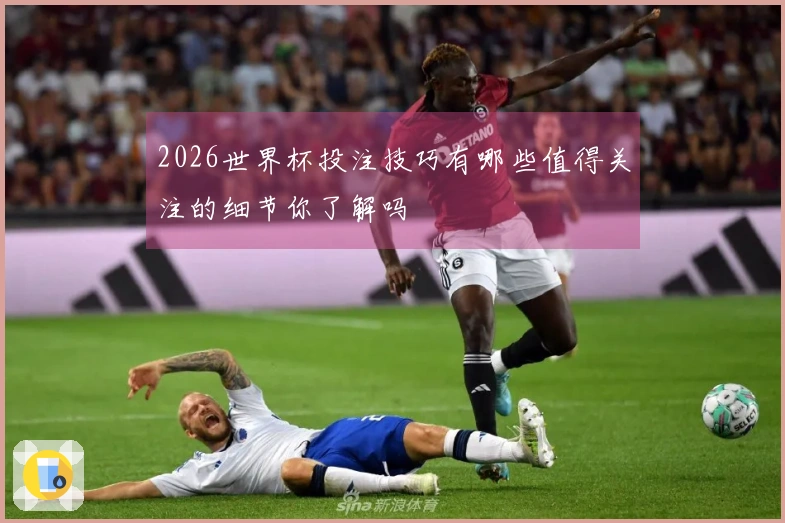 2026世界杯投注技巧有哪些值得关注的细节你了解吗
